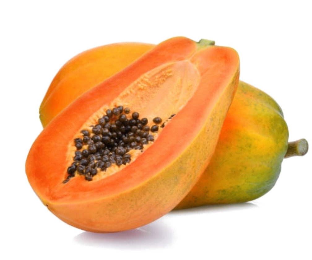 Papaya L