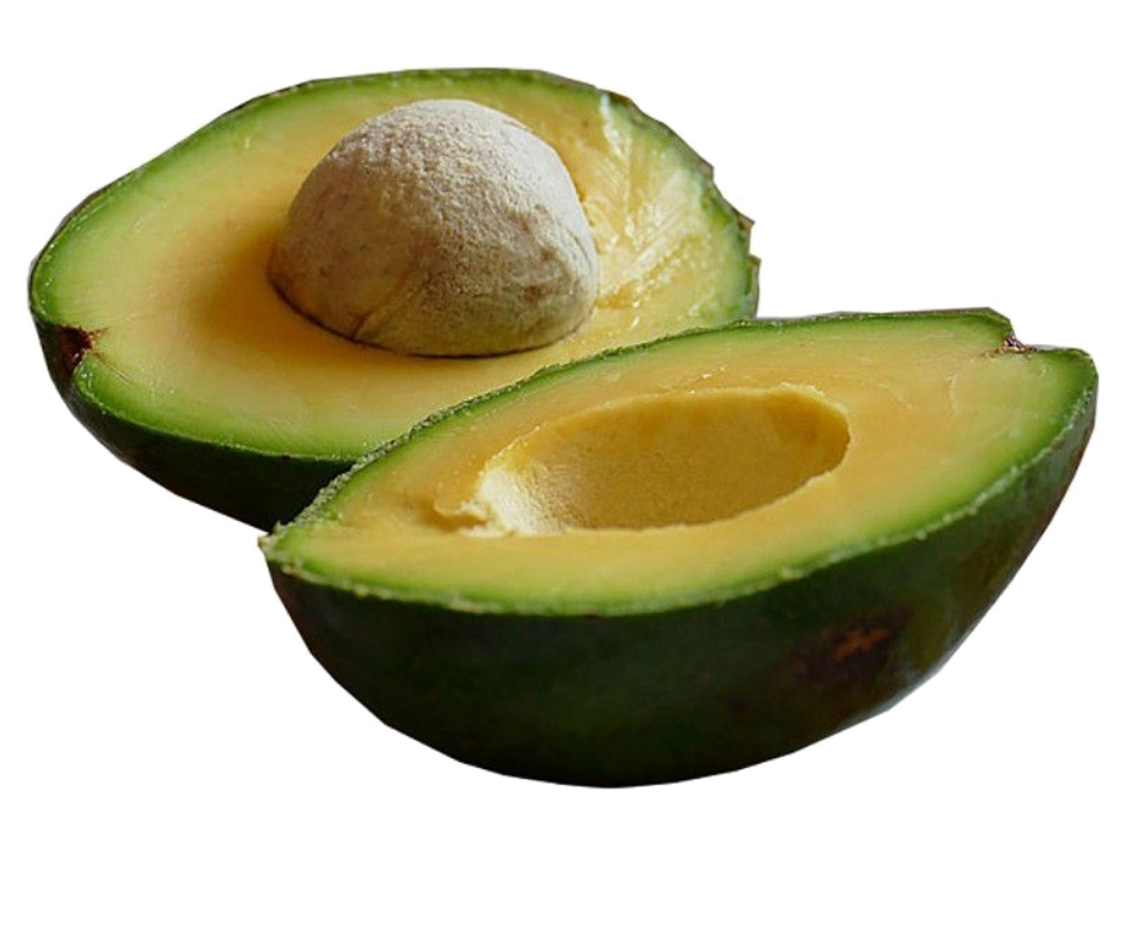 Aguacate Criollo