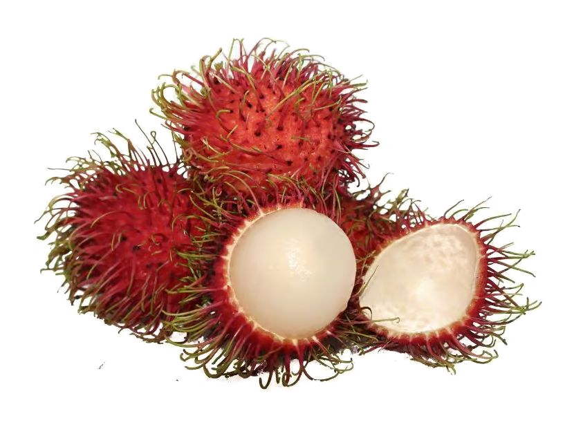 Mamon Chino