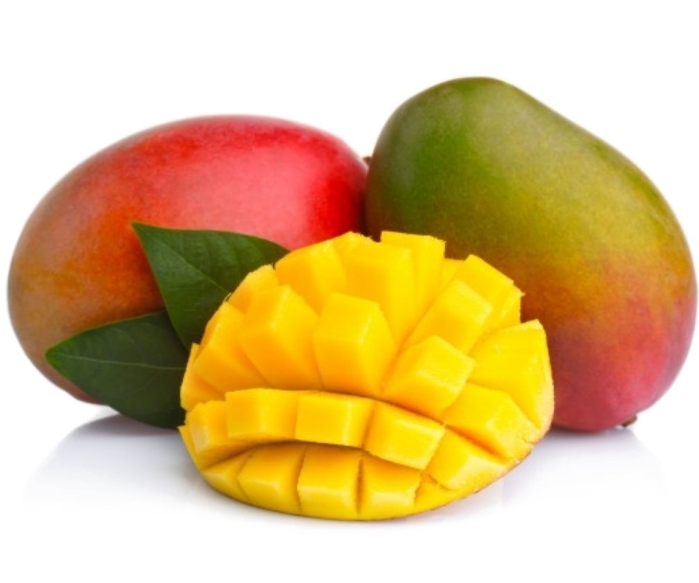 Manga Cavallini