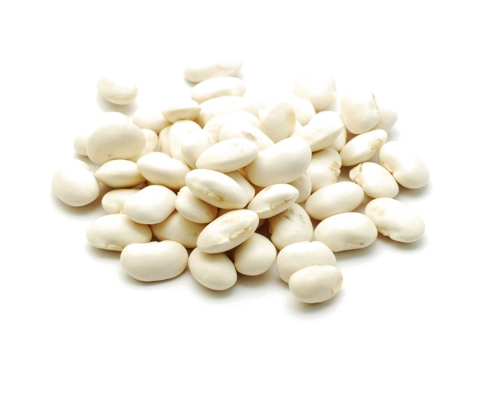 Frijol Blanco L