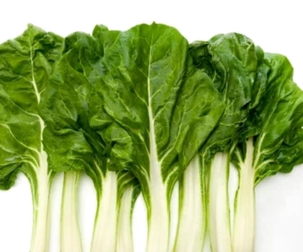 Acelga Rollo