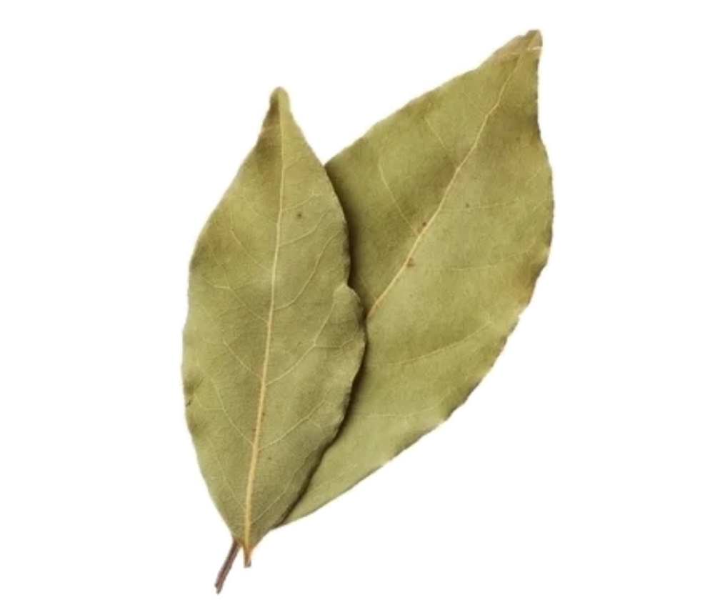Hojas de Laurel