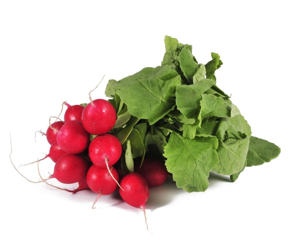 Rabanito kg