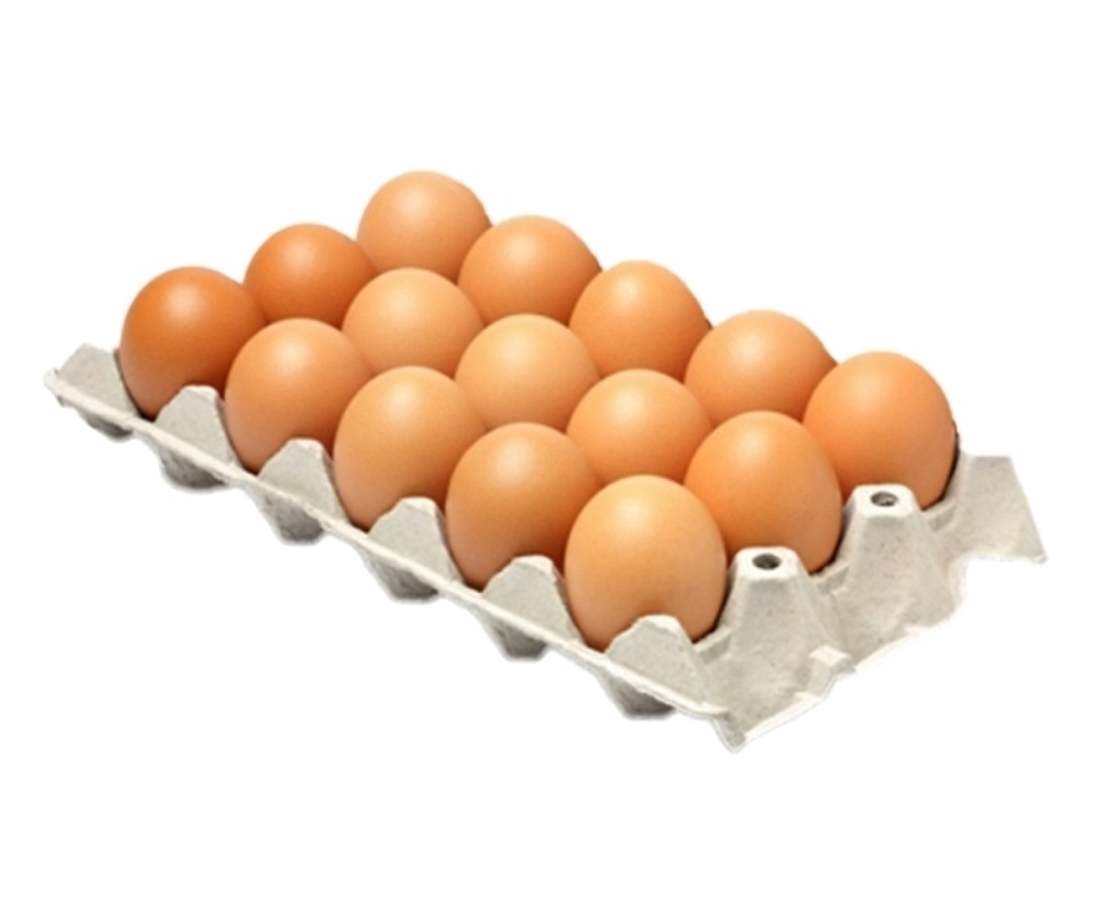 Huevos Cartón 30 unid