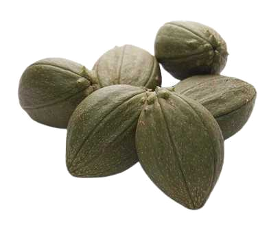 Tacaco